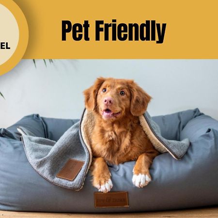 Staynfeel 02 Fatima Ngoại thất bức ảnh