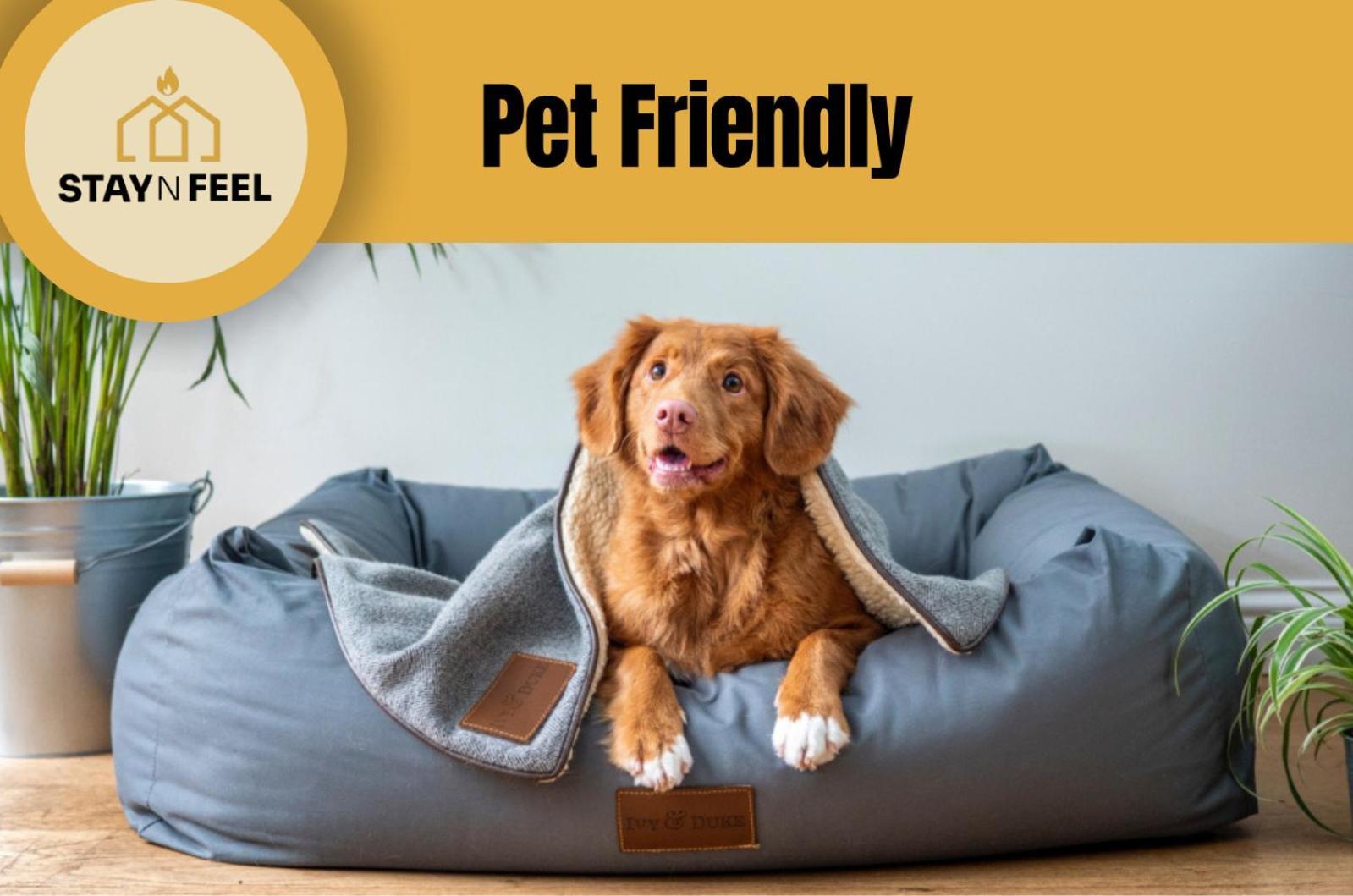 Staynfeel 02 Fatima Ngoại thất bức ảnh